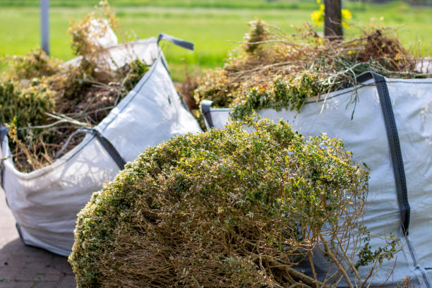 Shed Removal in Duluth, WA