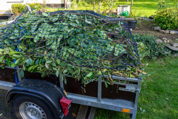 Best Furniture Removal  in Duluth, WA